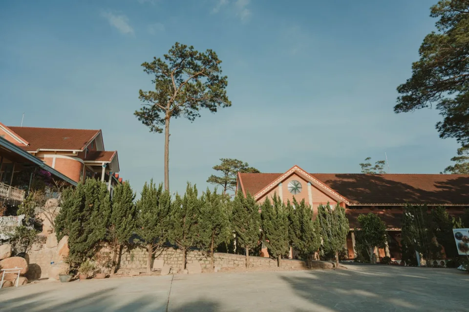Hình ảnh tại Nguyễn Thị Diễm 4